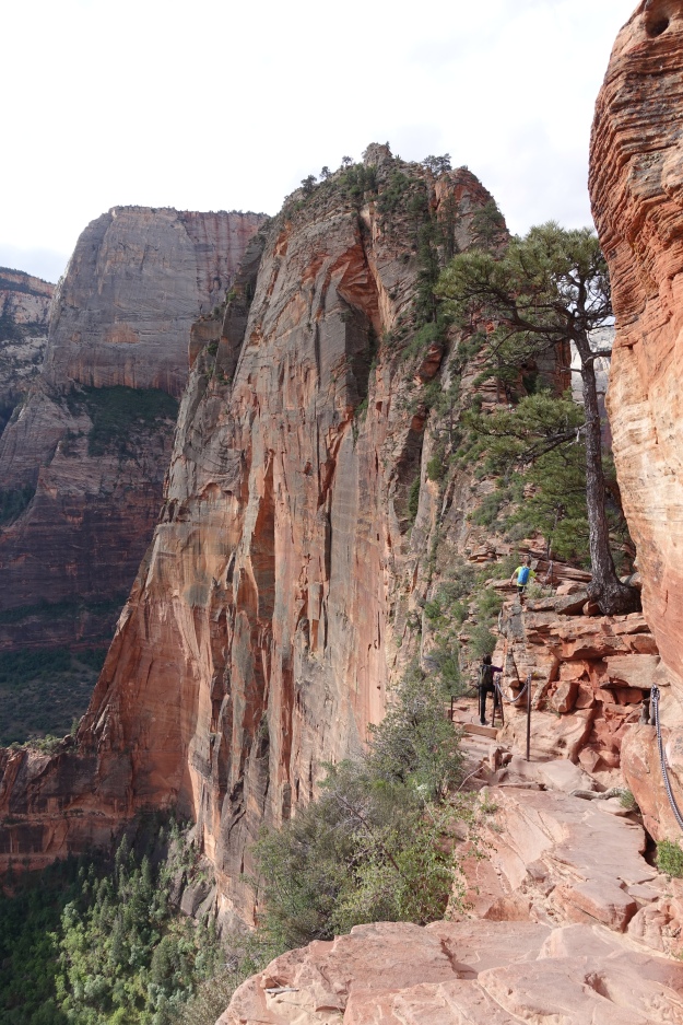 Angel's Landing: the trail fallows the obvious ridge