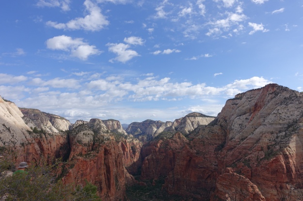 view from the top of Angel's Landing